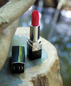dior-rouge-mau-765