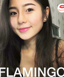 tf-flamingo-08