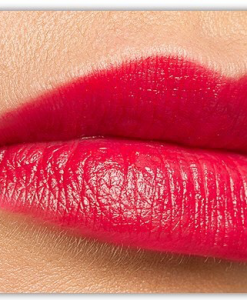 son-chanel-172-Rebelle