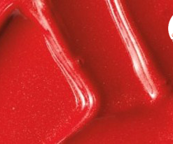 son-mac-dozen-carnations