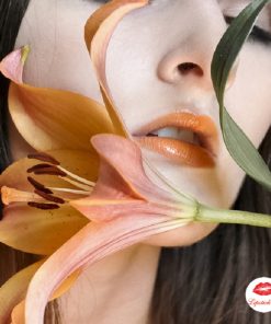 son-mac-lustre-Tangerine-Dream