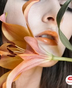 son-mac-lustre-Tangerine-Dream