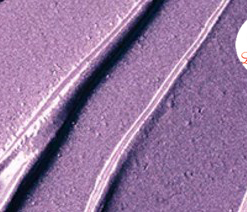 son-mac-pick-me-pick-me