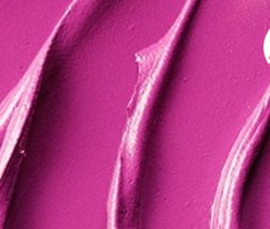 son-mac-slipper-orchid