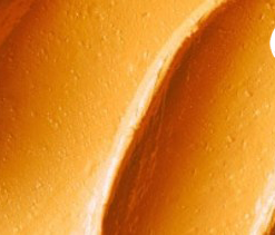 son-mac-yellow-you-dare