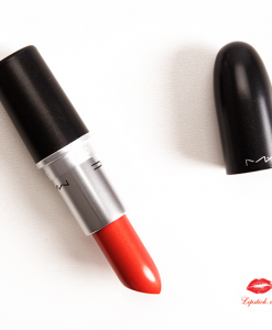 thiet-ke-son-mac-dozen-carnations