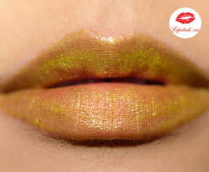 review Son MAC Wild Extract