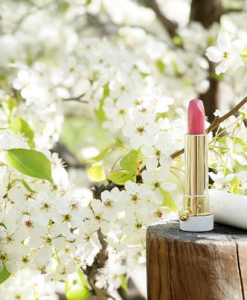 thiet-ke-son-tatcha-23