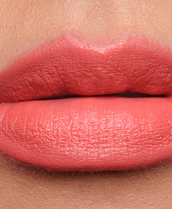 son-bite-beauty-mau-gingersnap-cam-san-ho-amuse-bouche-lipstick