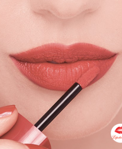 son-bourjois-velvet-22-Abricoquette