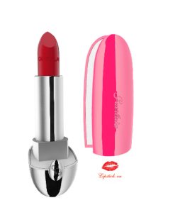 son-guerlain-214-case-1