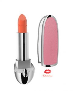 son-guerlain-43-case-11