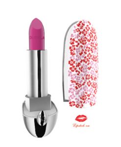 son-guerlain-73-case-8