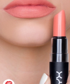 son-li-nyx-matte-lipstick-Nude