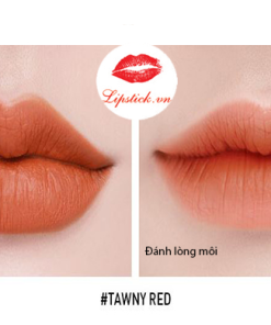 3CE-mau-Tawny-Red