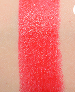 Chat-son-givenchy-325