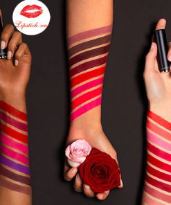 chat-Son-Lancome-511