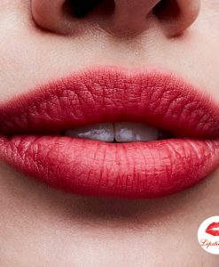 son-mac-werk-werk-werk-powder-kiss