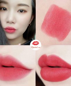 Chat-son-Shu-Uemura-M-BG-955