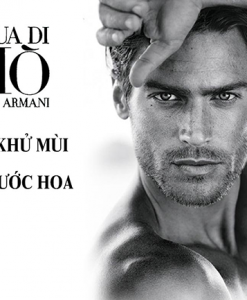 lan-nach-Acqua-di-Giò-Giorgio-Armani