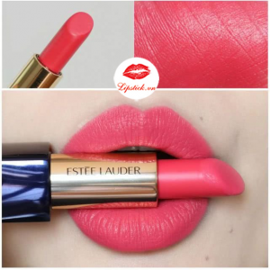 Son Estee Lauder 209