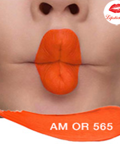 Chat-son-Shu-Amplified-565