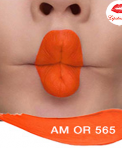 Chat-son-Shu-Amplified-565