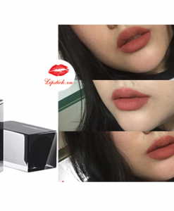 Son-Shu-Amplified-BR-972-1