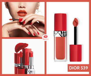 son kem Dior 539