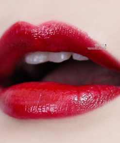ysl-401