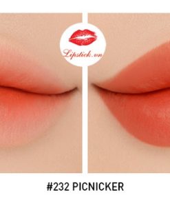 son-3ce-disney-mau-232-picnicker