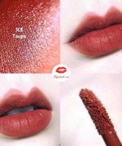 son-3ce-taupe