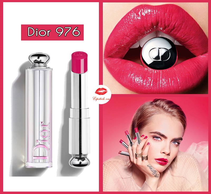 Son Dior Rouge 976 Daisy Plum  Đỏ Mận Đẹp Nhất Dòng Rouge Dior