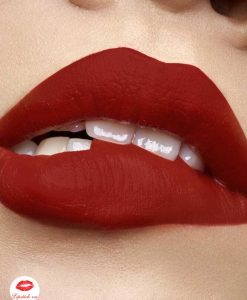 son-ysl-wild-collector-28-true-chili