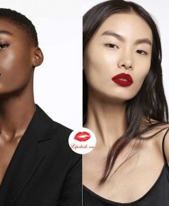 son-ysl-wild-collectors-mau-114