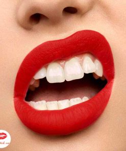 ysl-wild-collectors-the-slim-matte-110