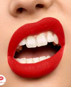 ysl-wild-collectors-the-slim-matte-110