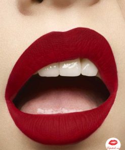 ysl-wild-collectors-the-slim-matte-21