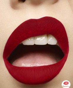 ysl-wild-collectors-the-slim-matte-21