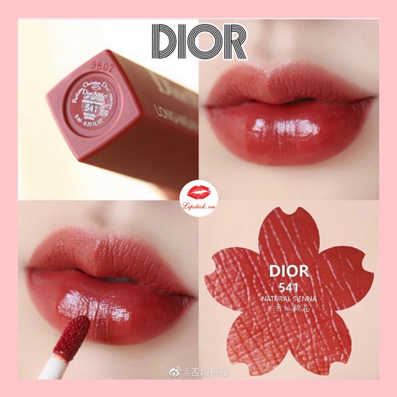Son Dior 541 Natural Sienna  Đỏ Đất Hot Nhất Dòng Addict Lip Tint