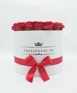 hoa-sap-hop-tron-trang-size-L-qua-20-10