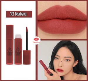 Review Son 3CE Bearberry