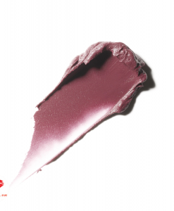 son-kem-mac-978-ferosh-liquid-lipcolour