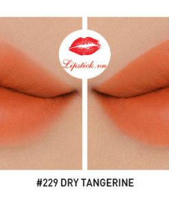 3ce-lip-color-matte-229-dry-tangerine