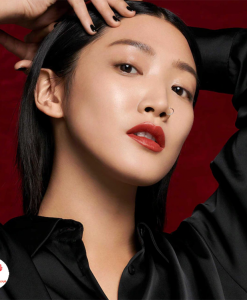 son-ysl-slim-velvet-28