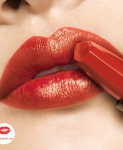 shu-uemura-kinu-satin-or-586