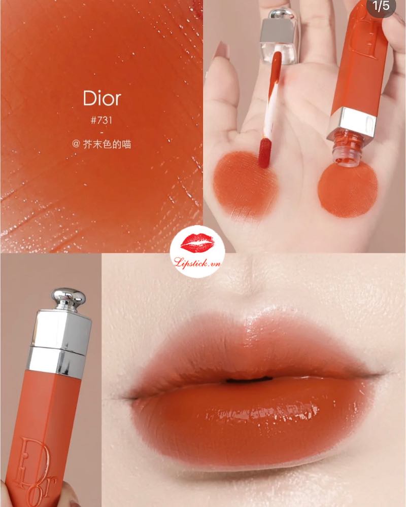 Dior Addict Lip Tattoo LongWear Colored Tint  Review Swatches Looks   Spill the Beauty