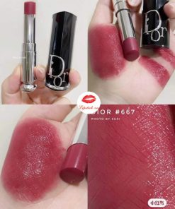 son-dior-667-diormania