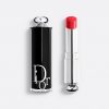 son-dior-addict-536