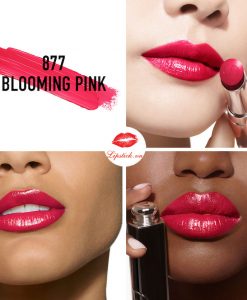 son-dior-addict-hydrating-shine-877-blooming-pink
